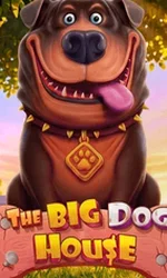 The Big Dog House